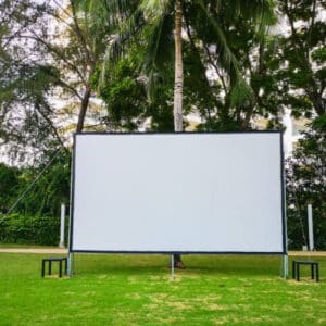 250" Projector Screen